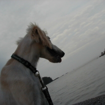 p7050025.jpg