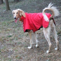 dscf1132.jpg